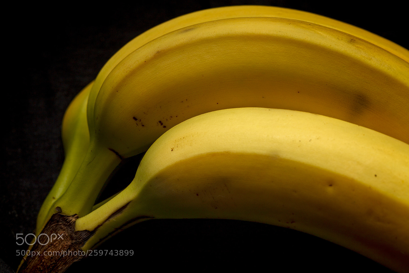 Canon EOS 5D Mark II sample photo. Going bananas photography