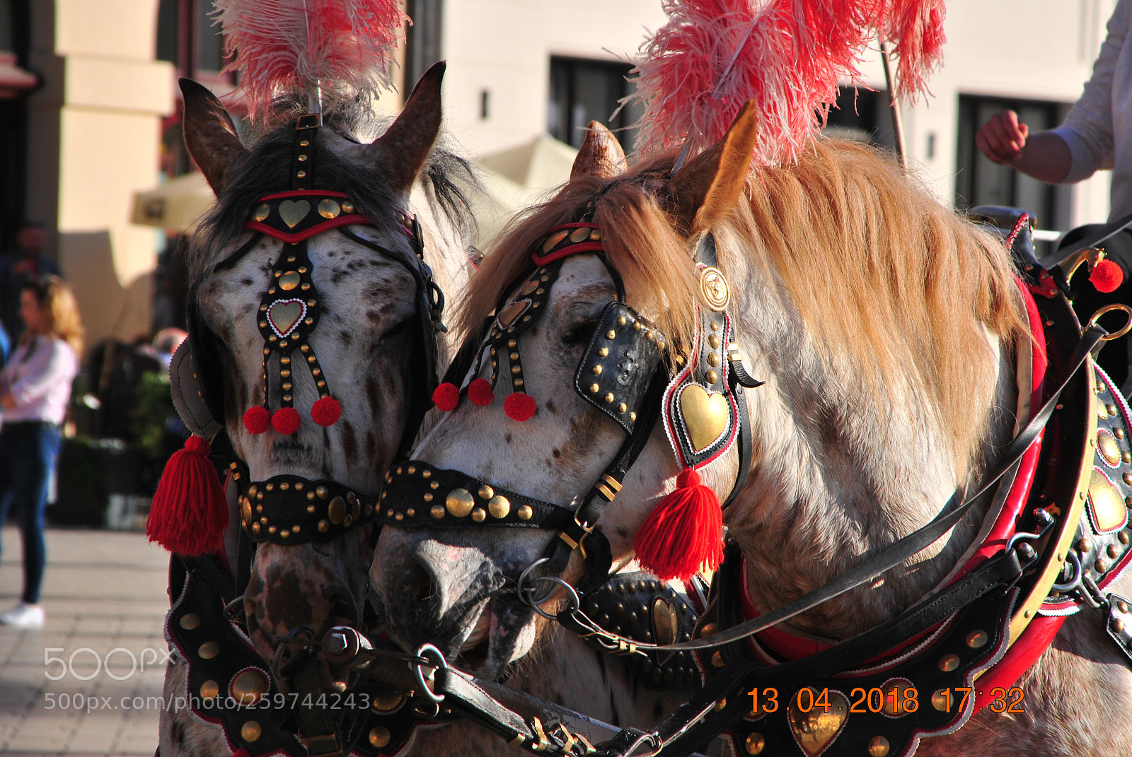 Nikon D3000 sample photo. Kraków poland photography