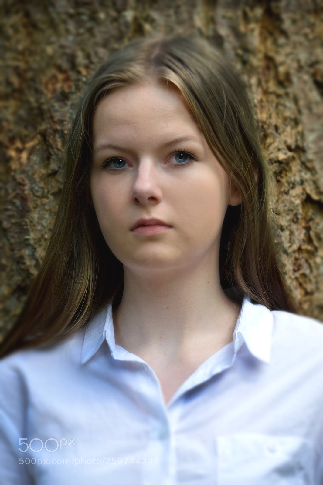 Nikon D3200 sample photo. Charlotte photography