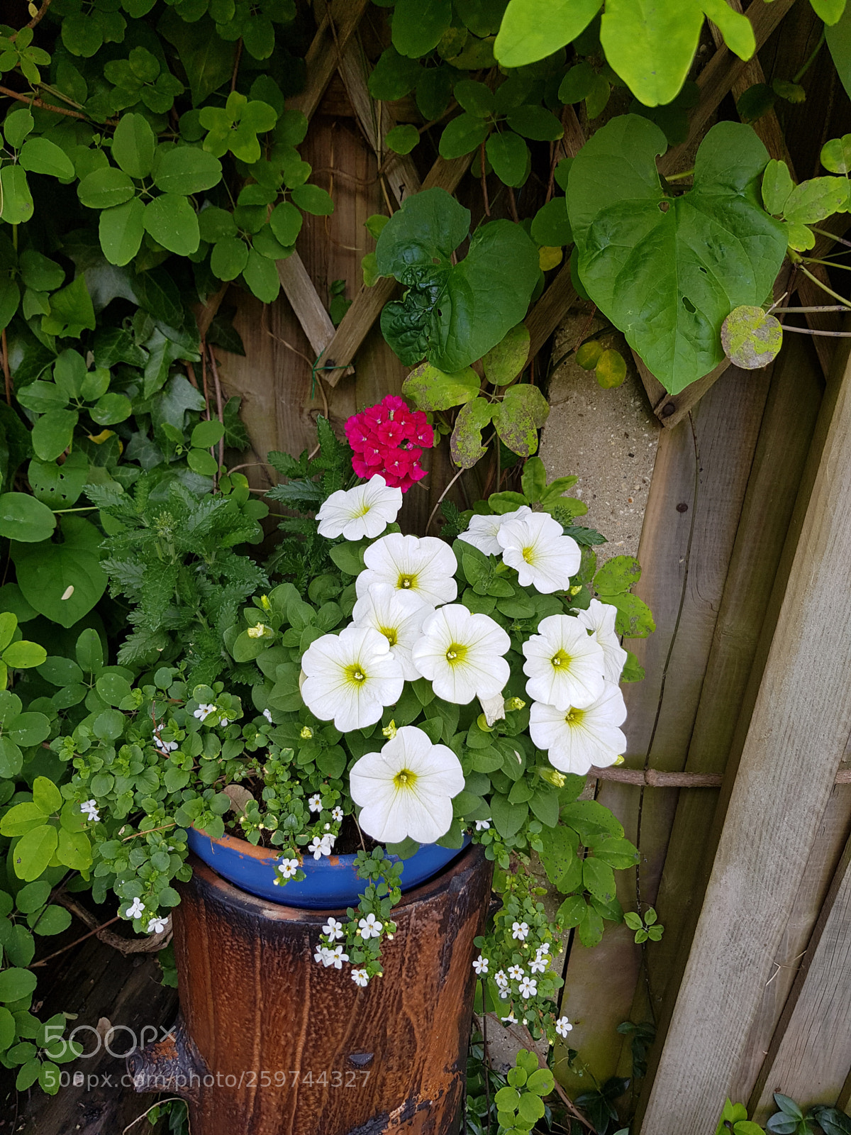 Samsung Galaxy S8 sample photo. Untitled photography