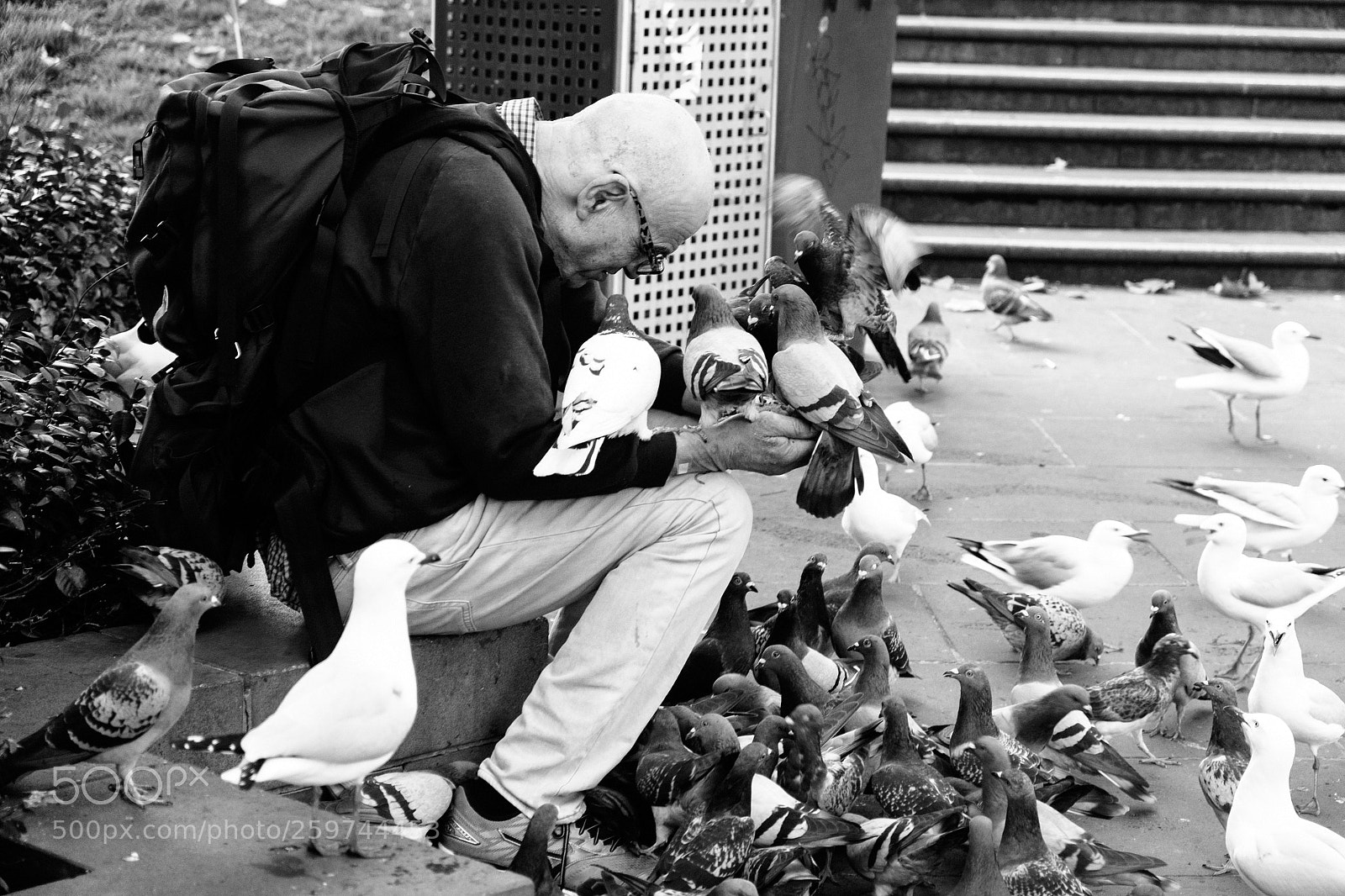 Fujifilm X-T1 sample photo. Birdman photography