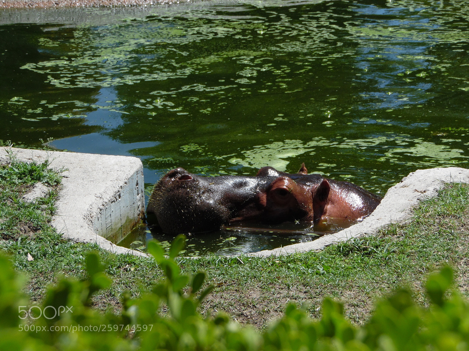 Samsung WB1100F/WB1101F/WB1102F sample photo. "vistazo" photography