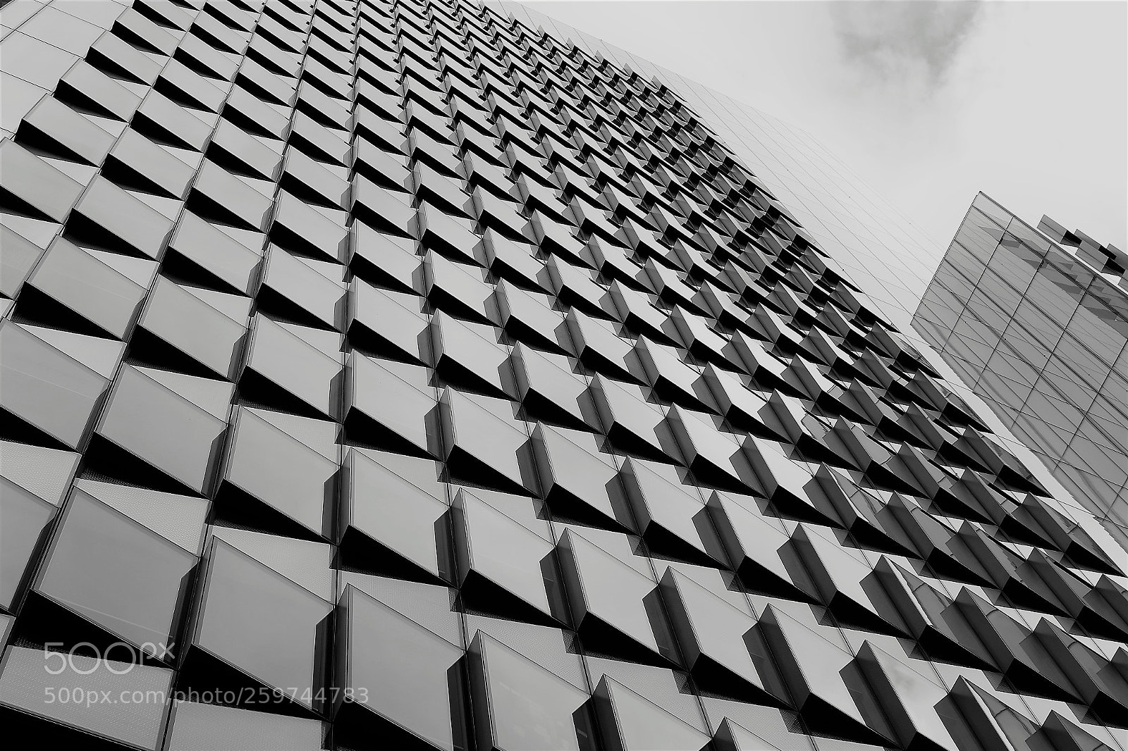 Canon EOS 7D Mark II sample photo. Patterned cit photography