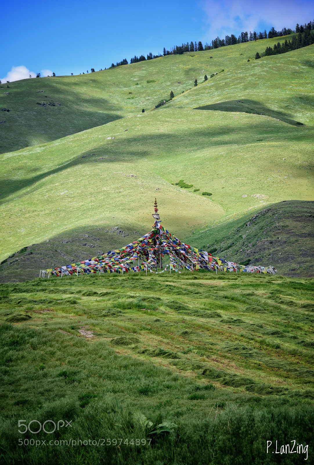 Nikon D810 sample photo. Tibetan prayer flags, at photography