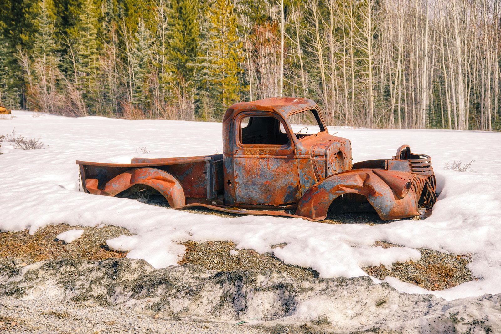 Nikon D610 sample photo. Rusted remains photography