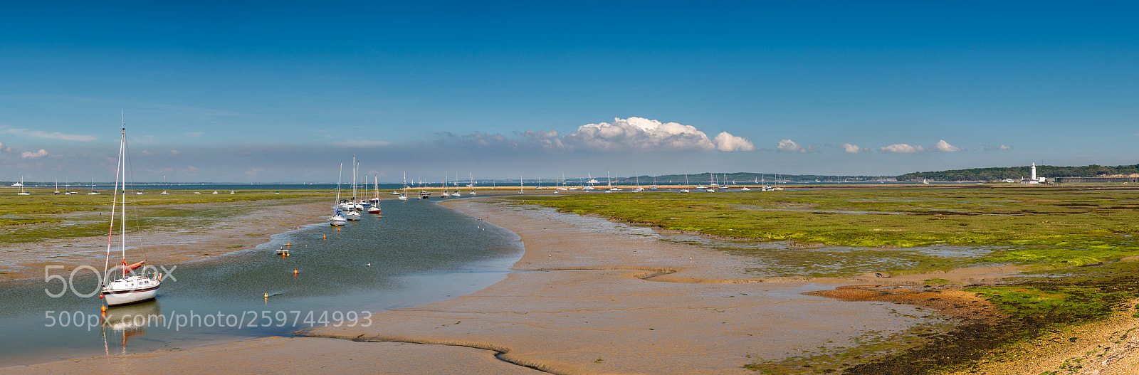 Nikon D800 sample photo. Mountlake milford on sea photography