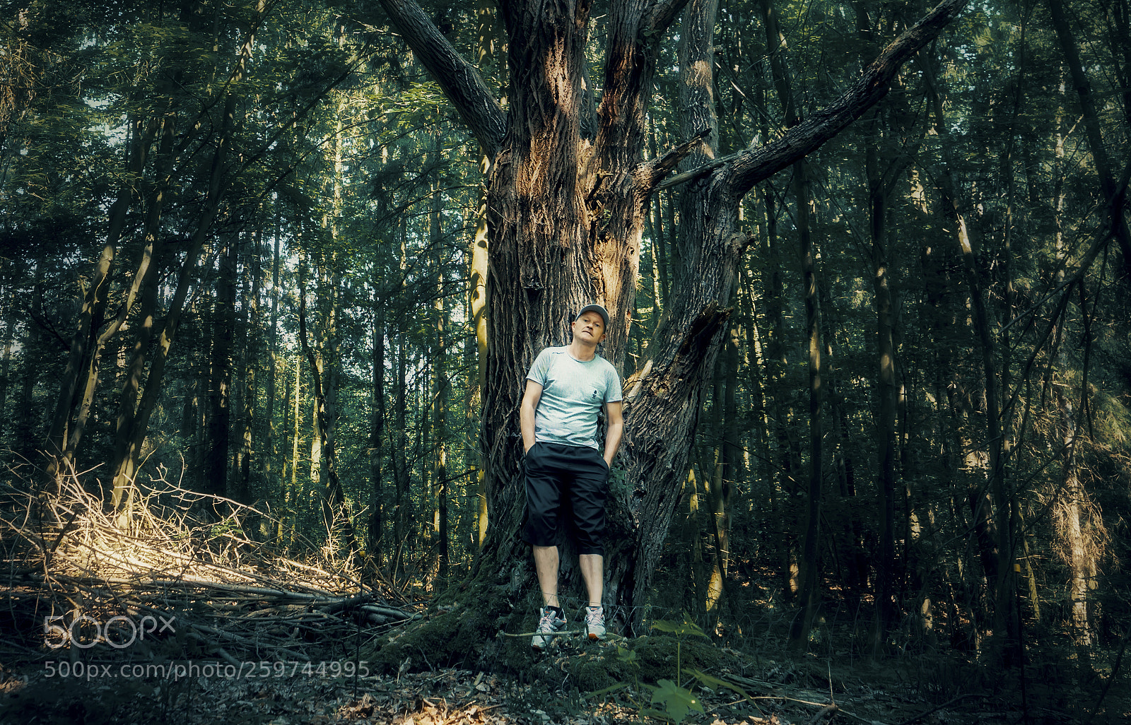 Nikon D810 sample photo. Me in the woods photography