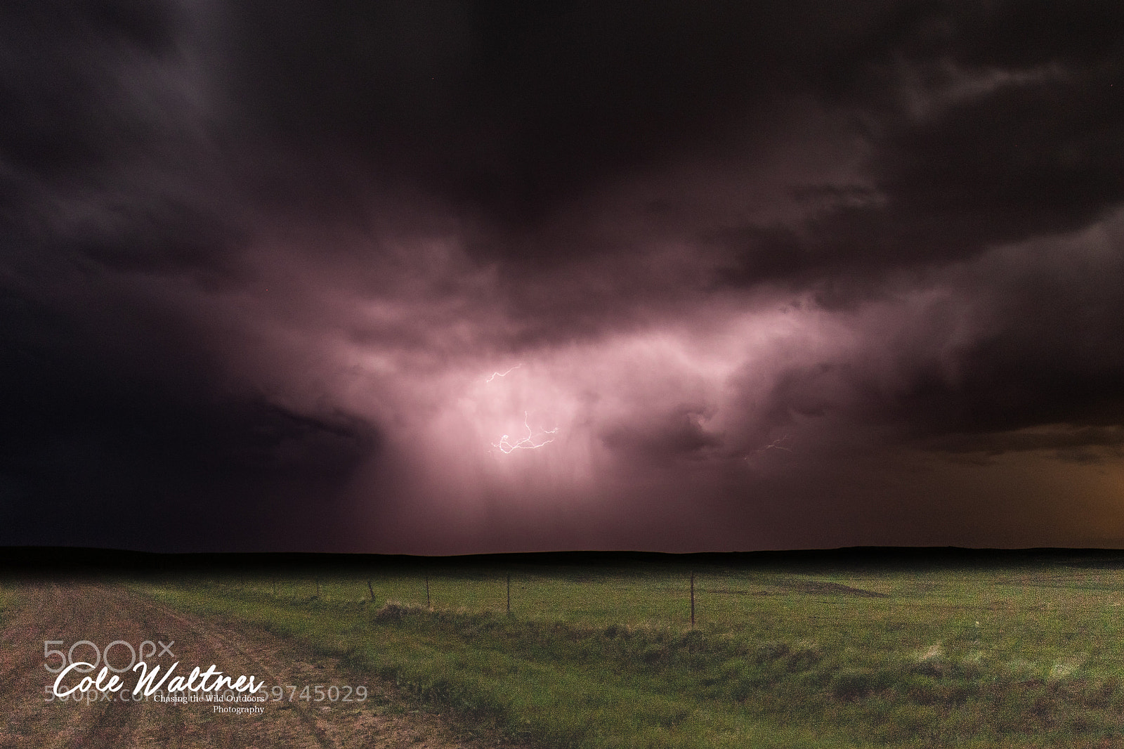 Canon EOS 7D Mark II sample photo. Lightning over lone tree photography