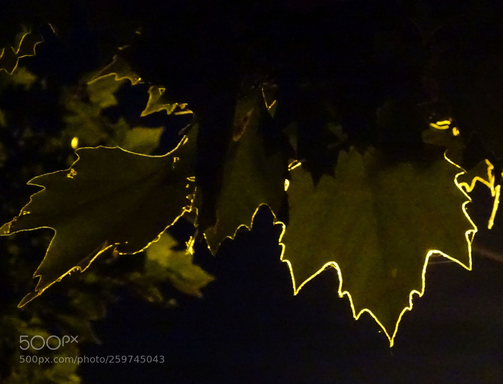 Sony Cyber-shot DSC-WX350 sample photo. Aura photography
