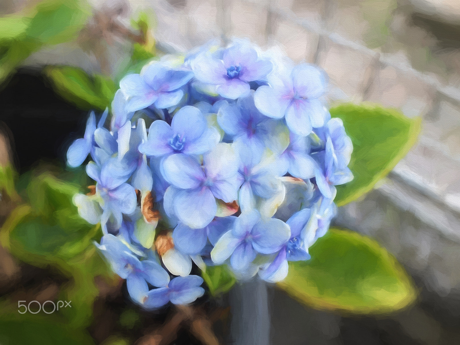 Fujifilm FinePix HS30EXR sample photo. Flowers photography