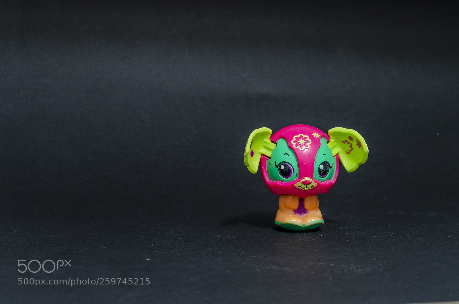 Nikon D5100 sample photo. Kid photography