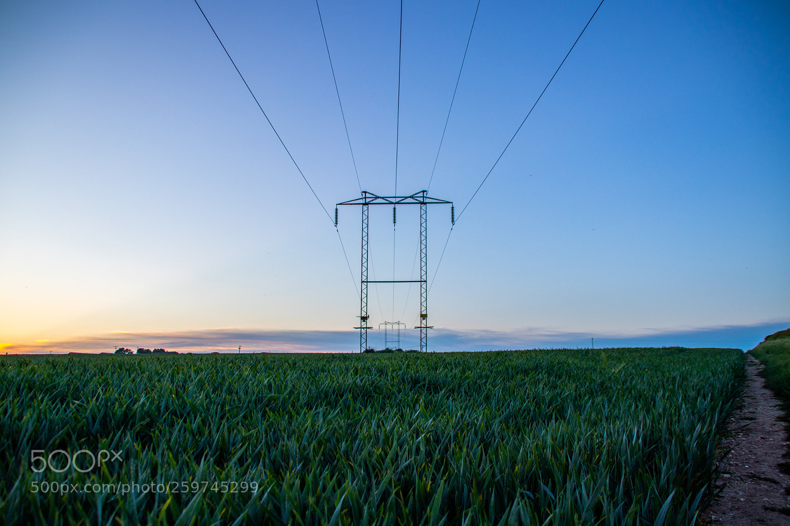 Canon EOS 77D (EOS 9000D / EOS 770D) sample photo. Power lines photography