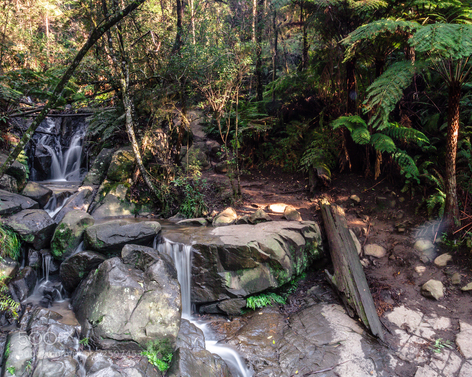 Canon EOS 80D sample photo. Olinda falls landscape photography