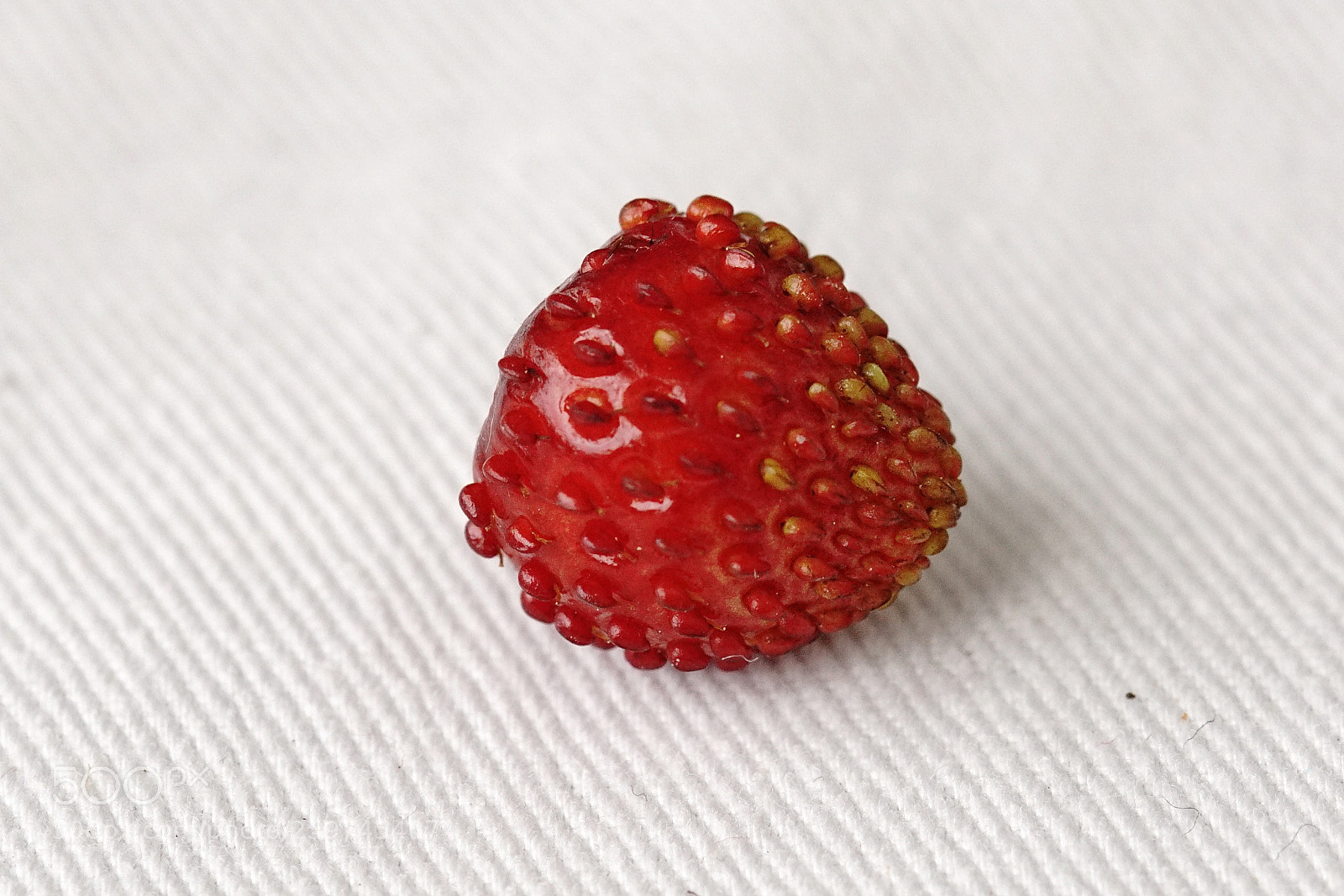 Sony a6000 sample photo. Wild strawberry from home photography
