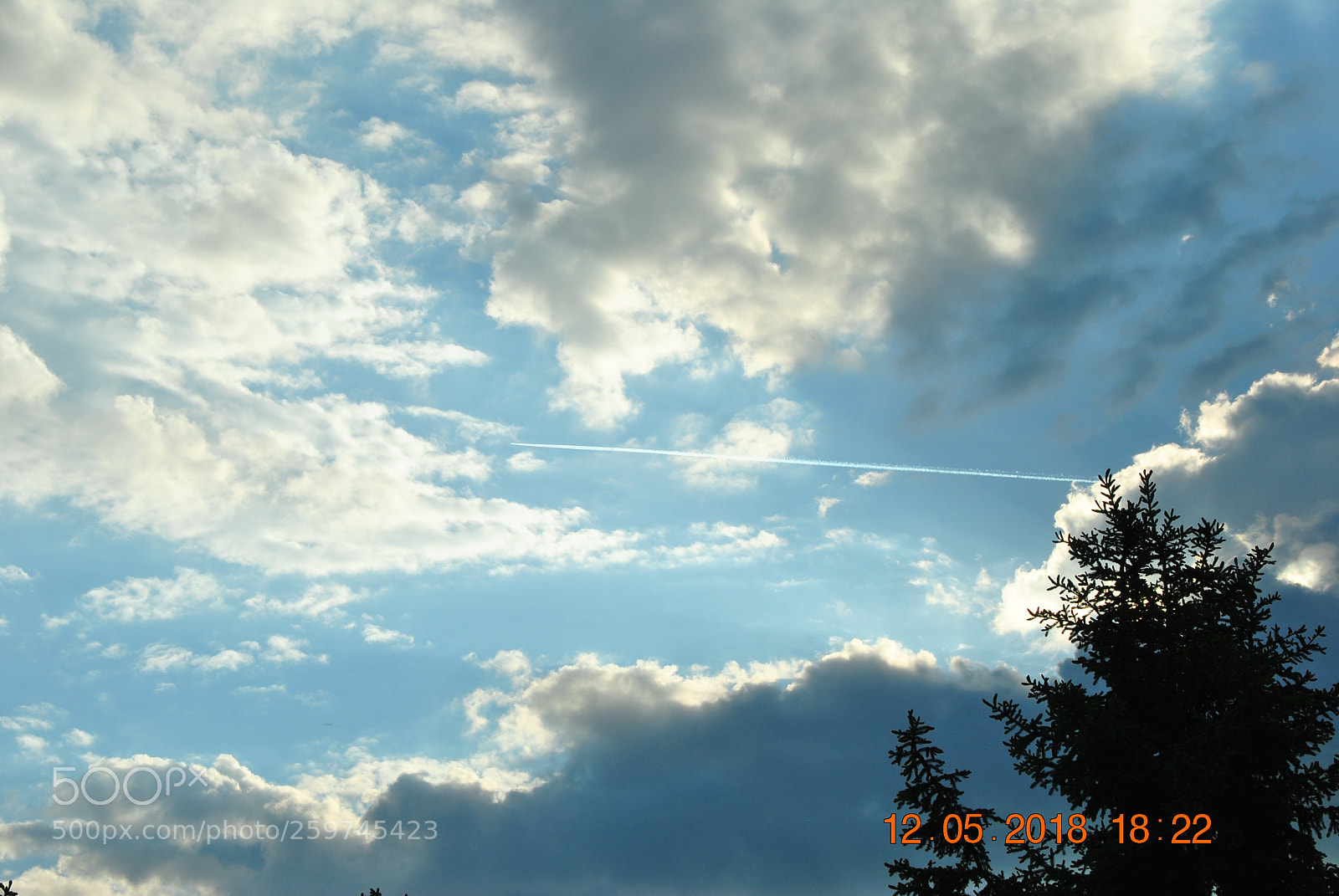 Nikon D3000 sample photo. View photography