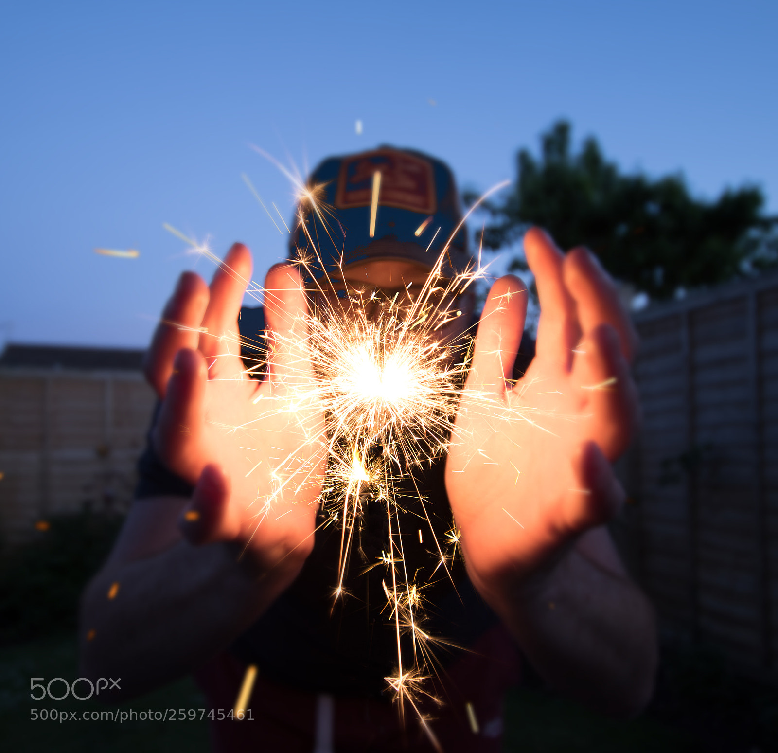 Canon EOS 7D Mark II sample photo. A new hope photography