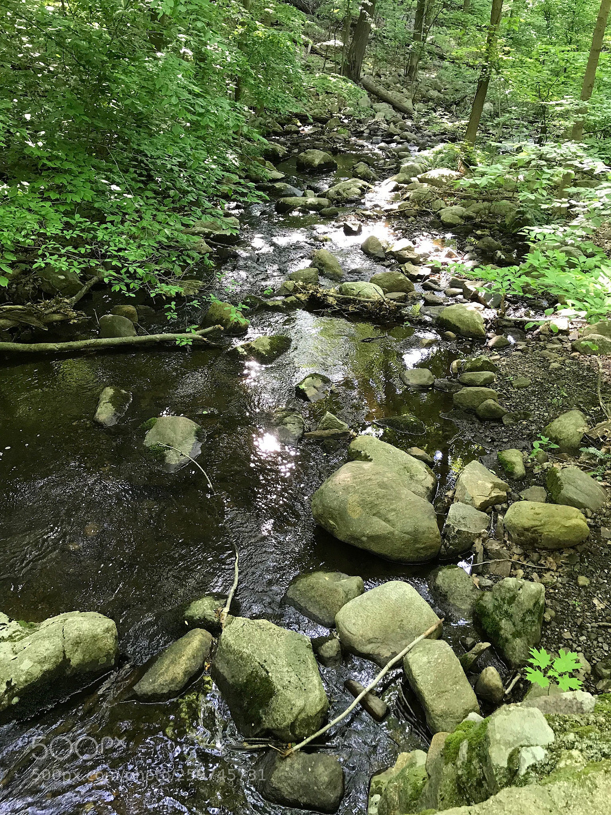Apple iPhone 7 Plus sample photo. Small brook after the photography
