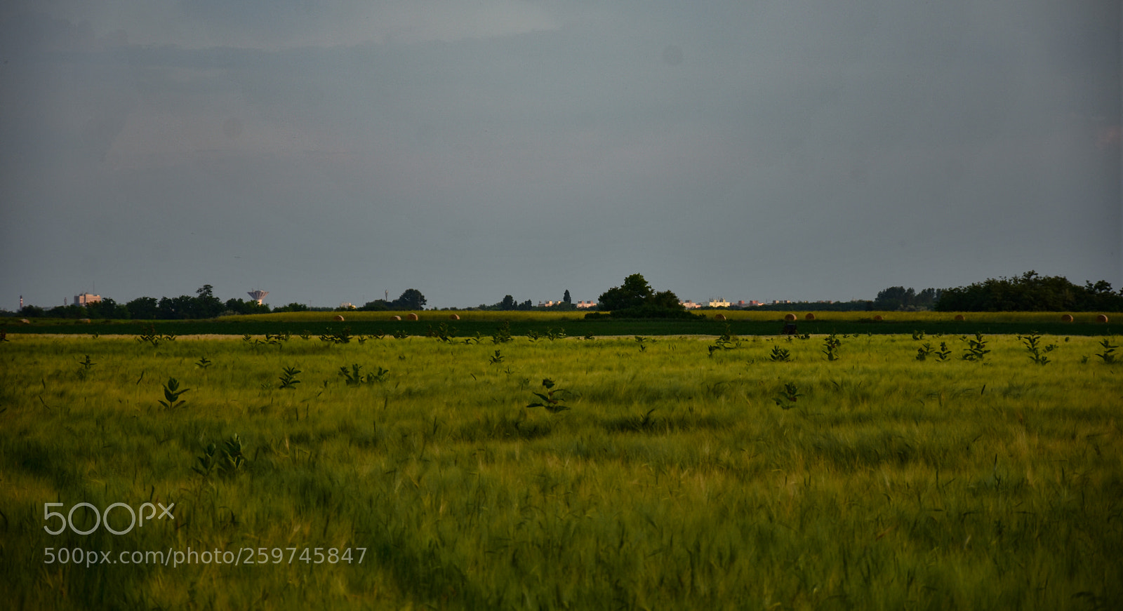 Nikon D7200 sample photo. Untitled photography