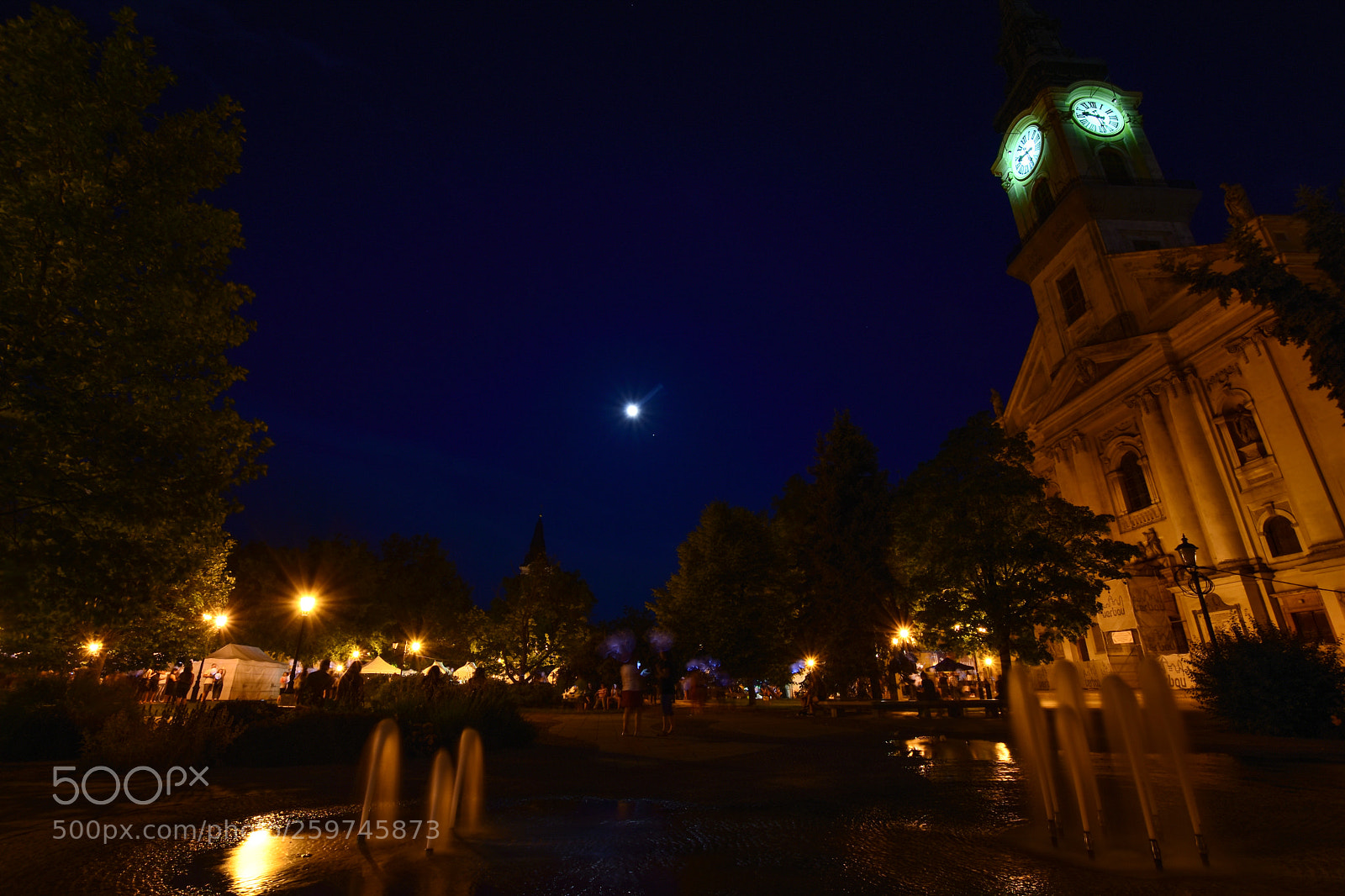 Nikon D7200 sample photo. Untitled photography