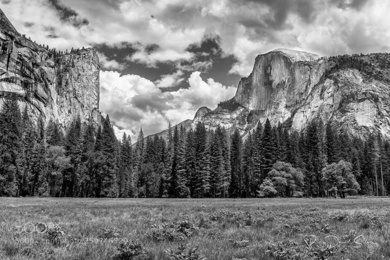 Canon EOS 5DS R sample photo. Half dome valley photography