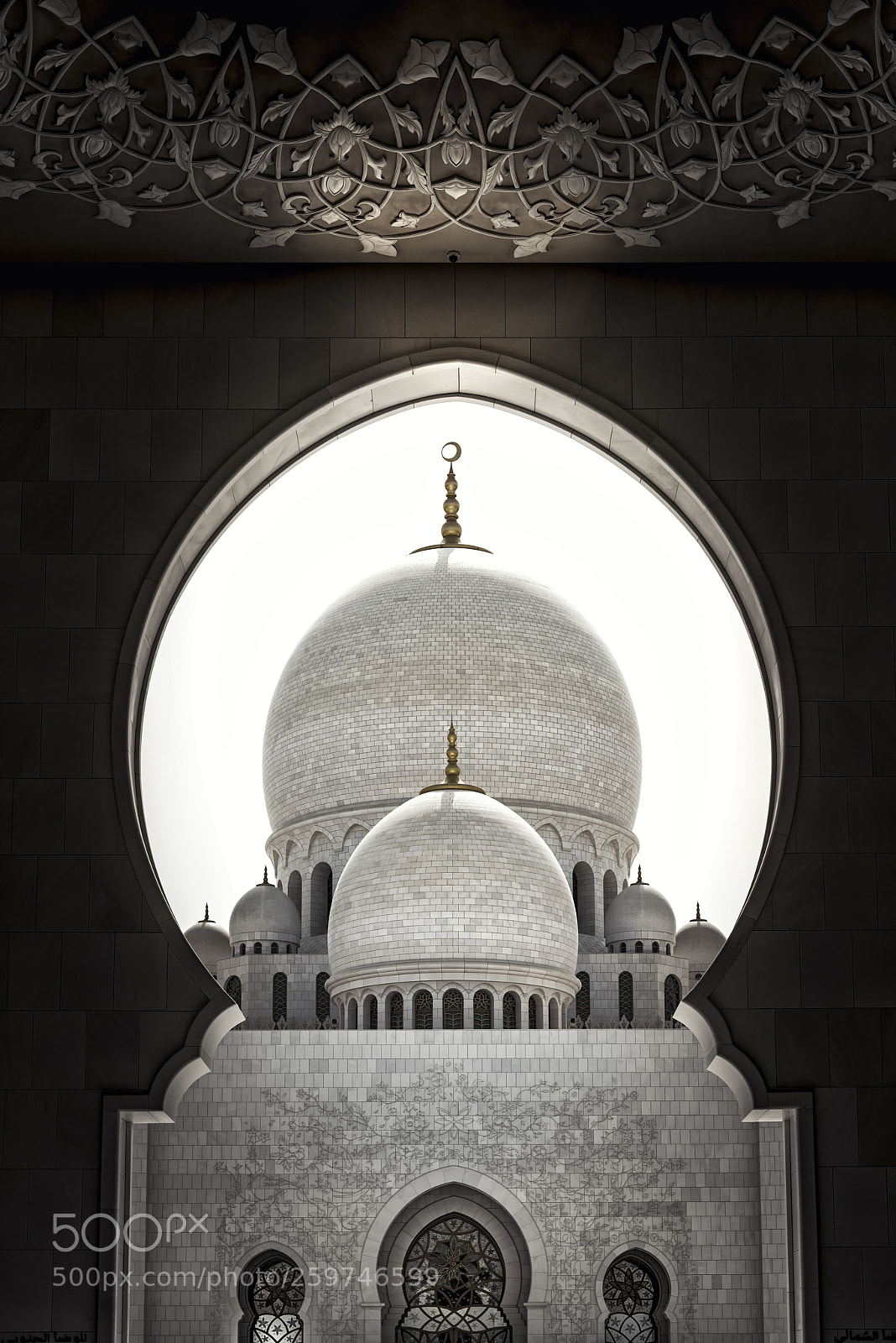 Nikon D810 sample photo. Frames of beauty photography
