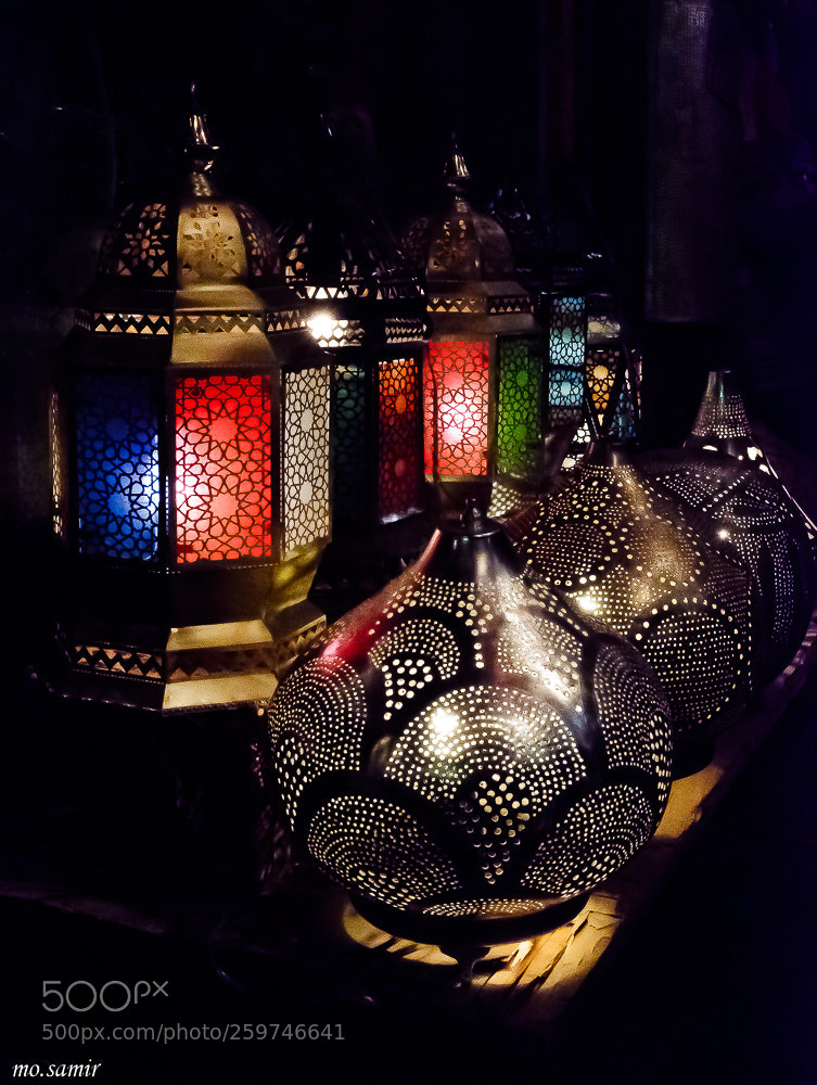 Nikon D7100 sample photo. Untitled photography