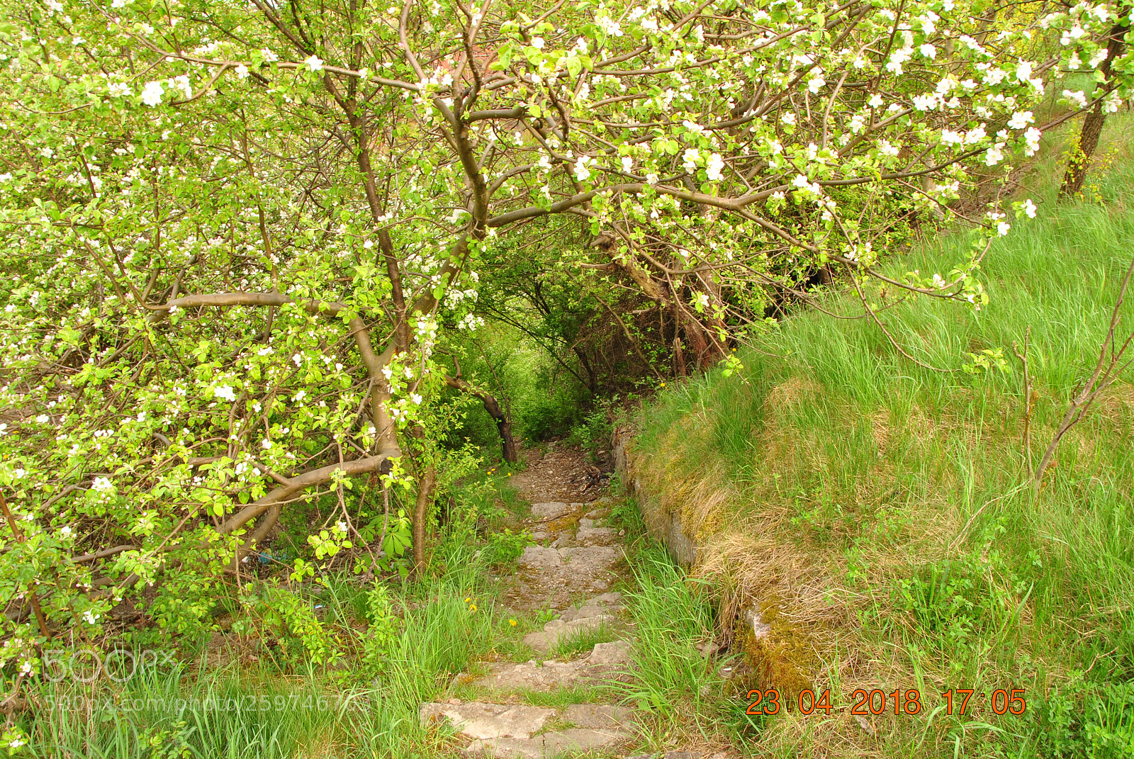Nikon D3000 sample photo. Nature photography