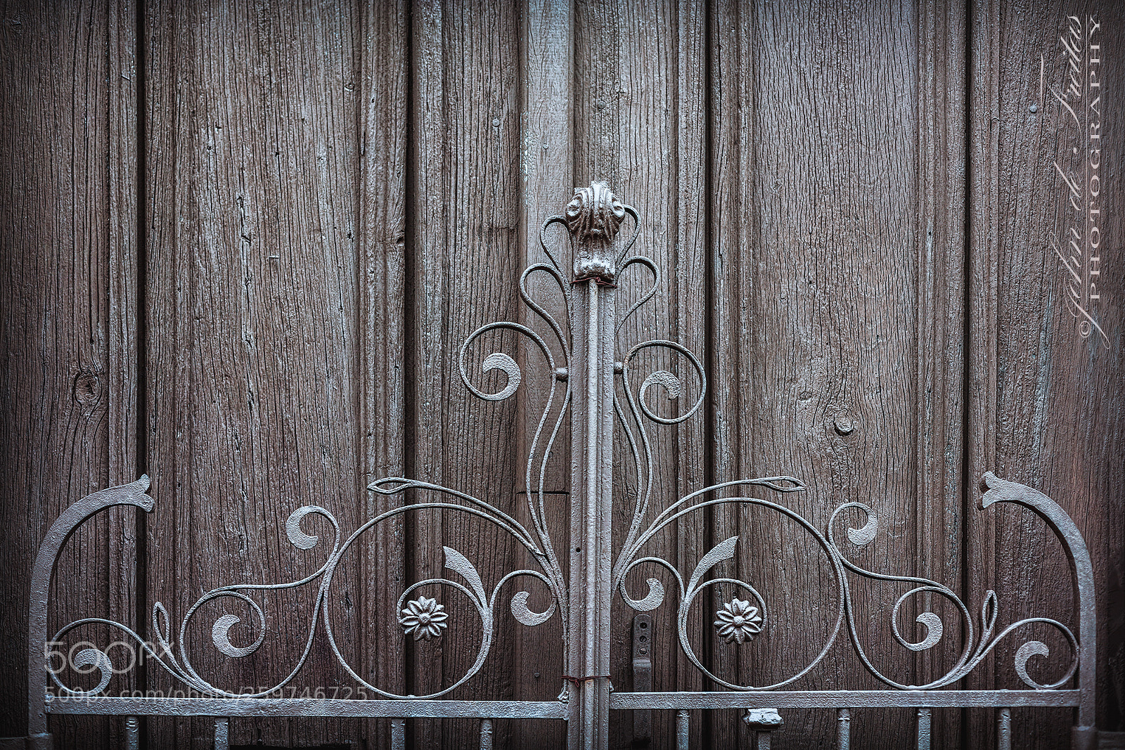 Canon EOS 5D Mark II sample photo. Let it be photography