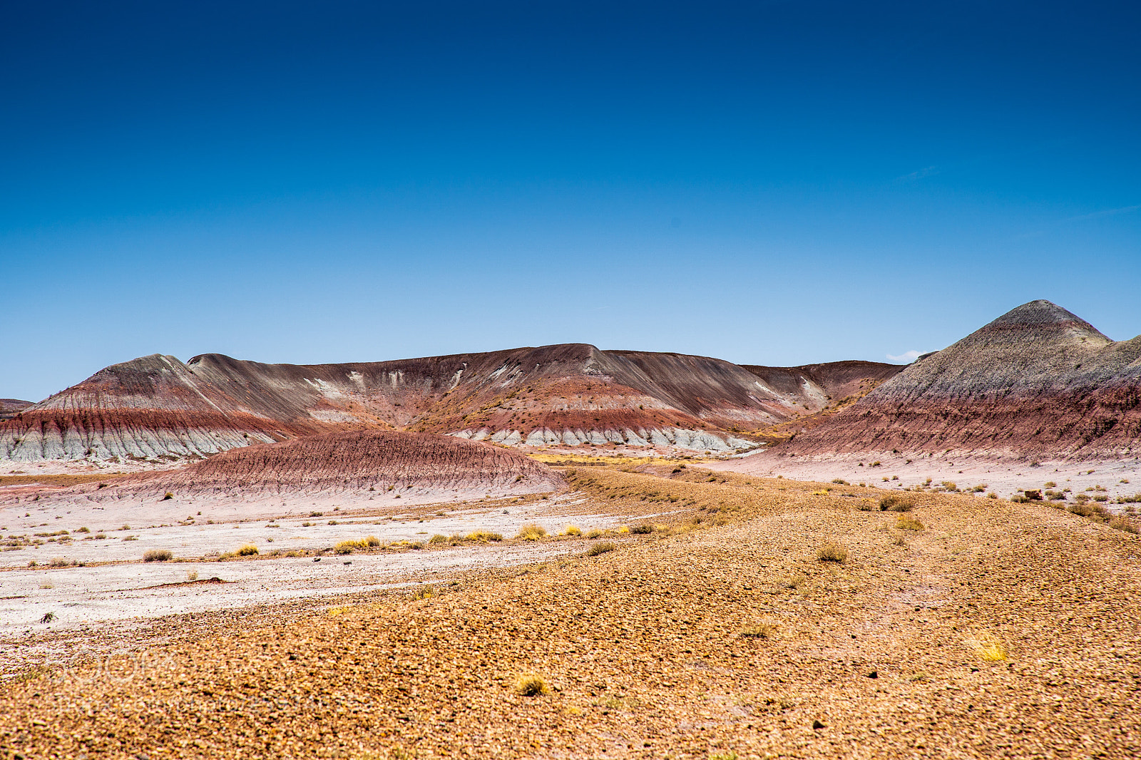 Sony a7 III sample photo. Painted desert photography