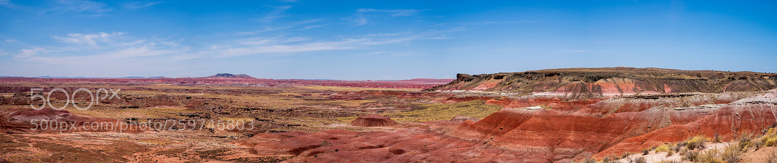 Sony a7 III sample photo. Painted desert panorama photography