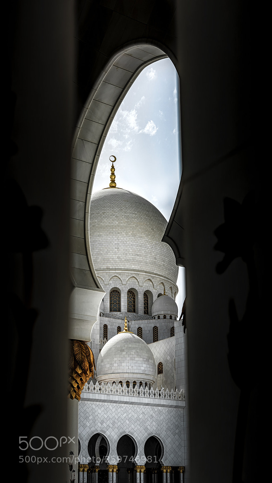 Nikon D810 sample photo. Through photography
