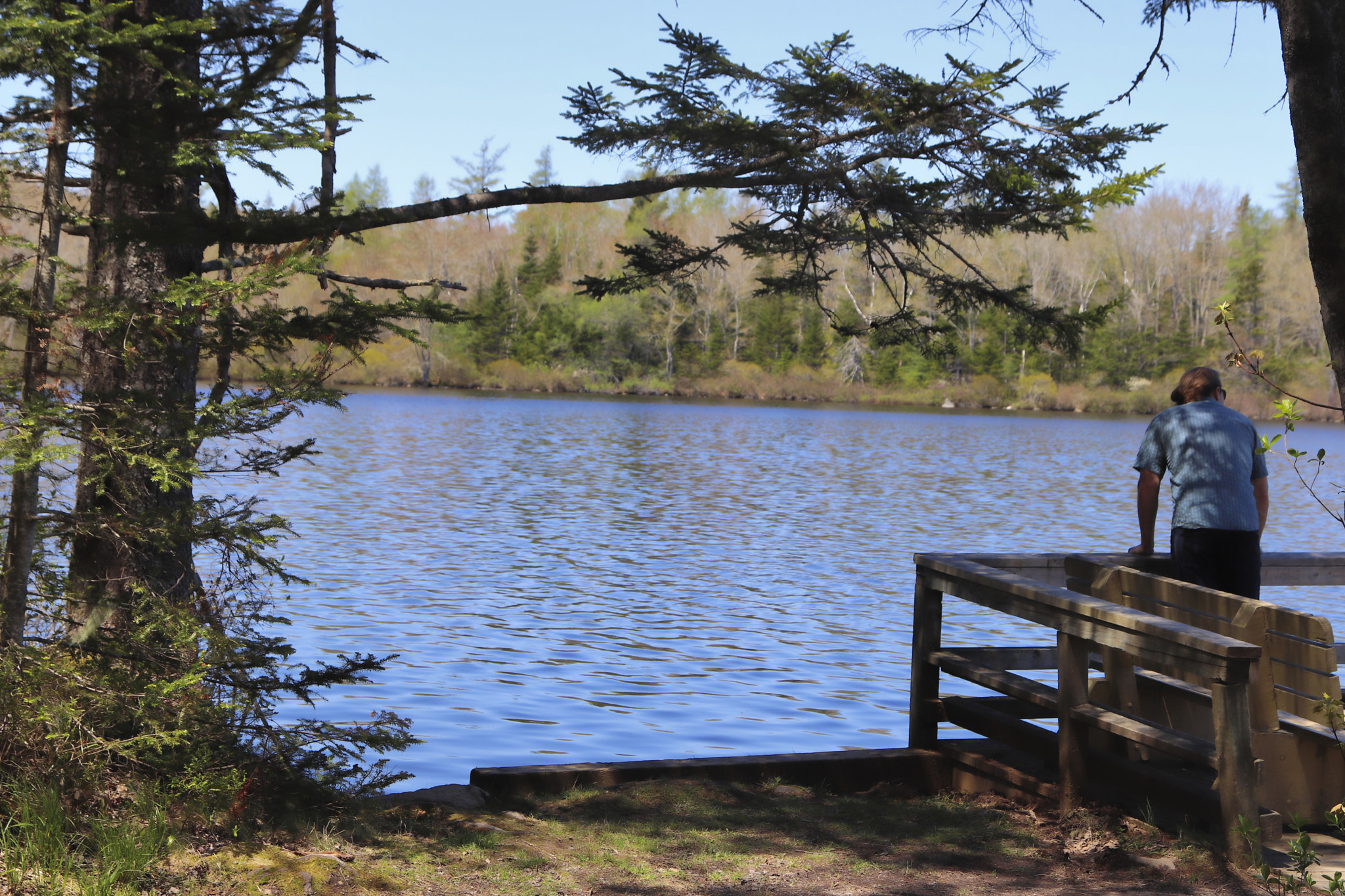 Canon EOS 800D (EOS Rebel T7i / EOS Kiss X9i) sample photo. Mayfair 2018: lewis lake nova scotia photography