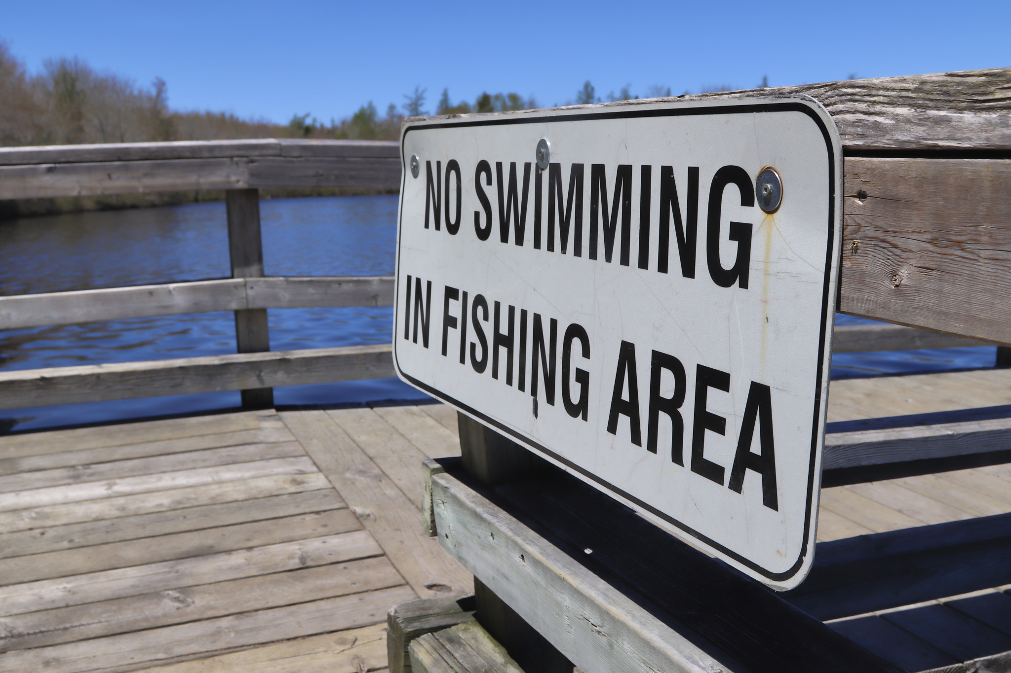 Canon EOS 800D (EOS Rebel T7i / EOS Kiss X9i) sample photo. Mayfair 2018: lewis lake nova scotia photography