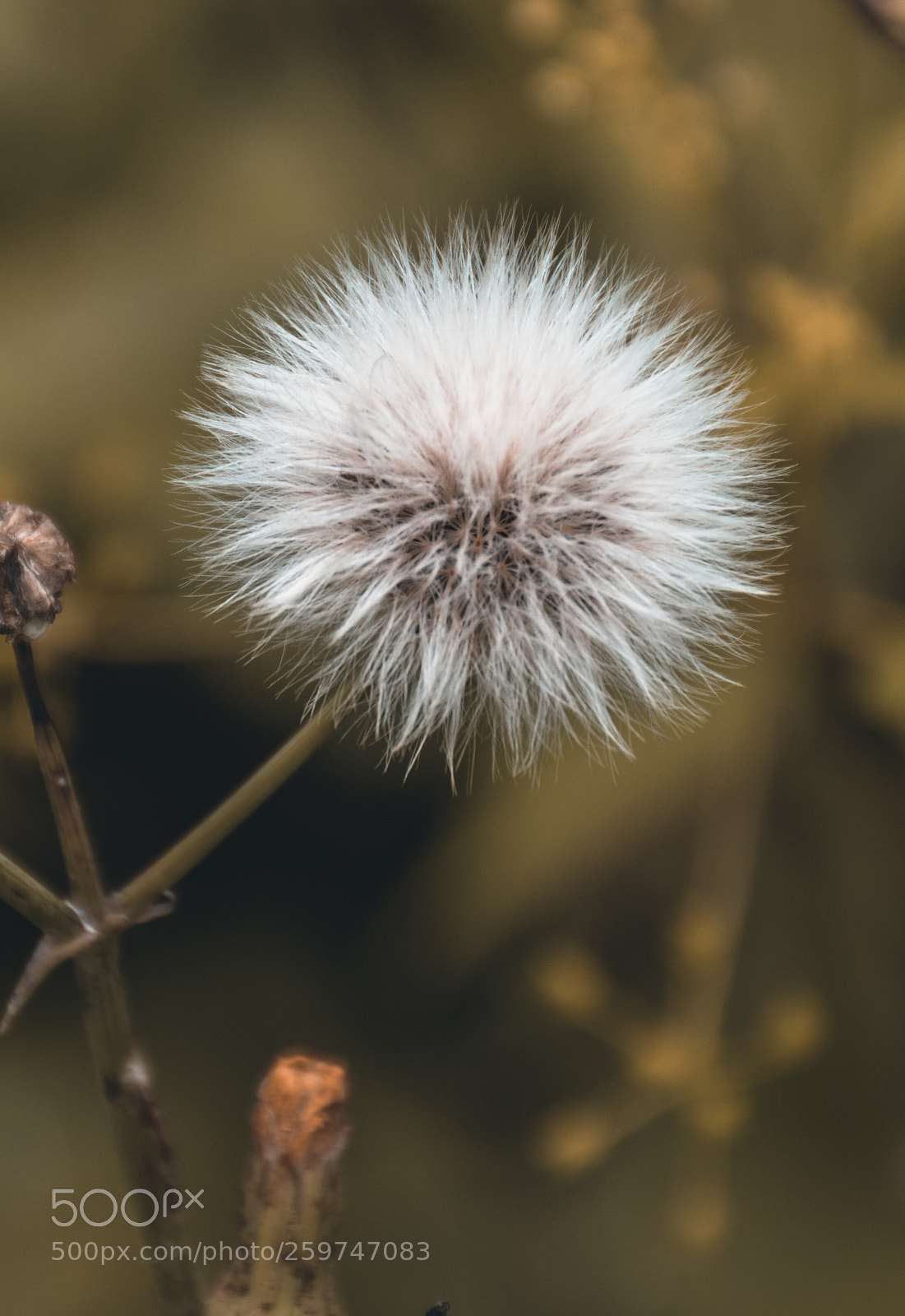 Nikon D3400 sample photo. Untitled photography