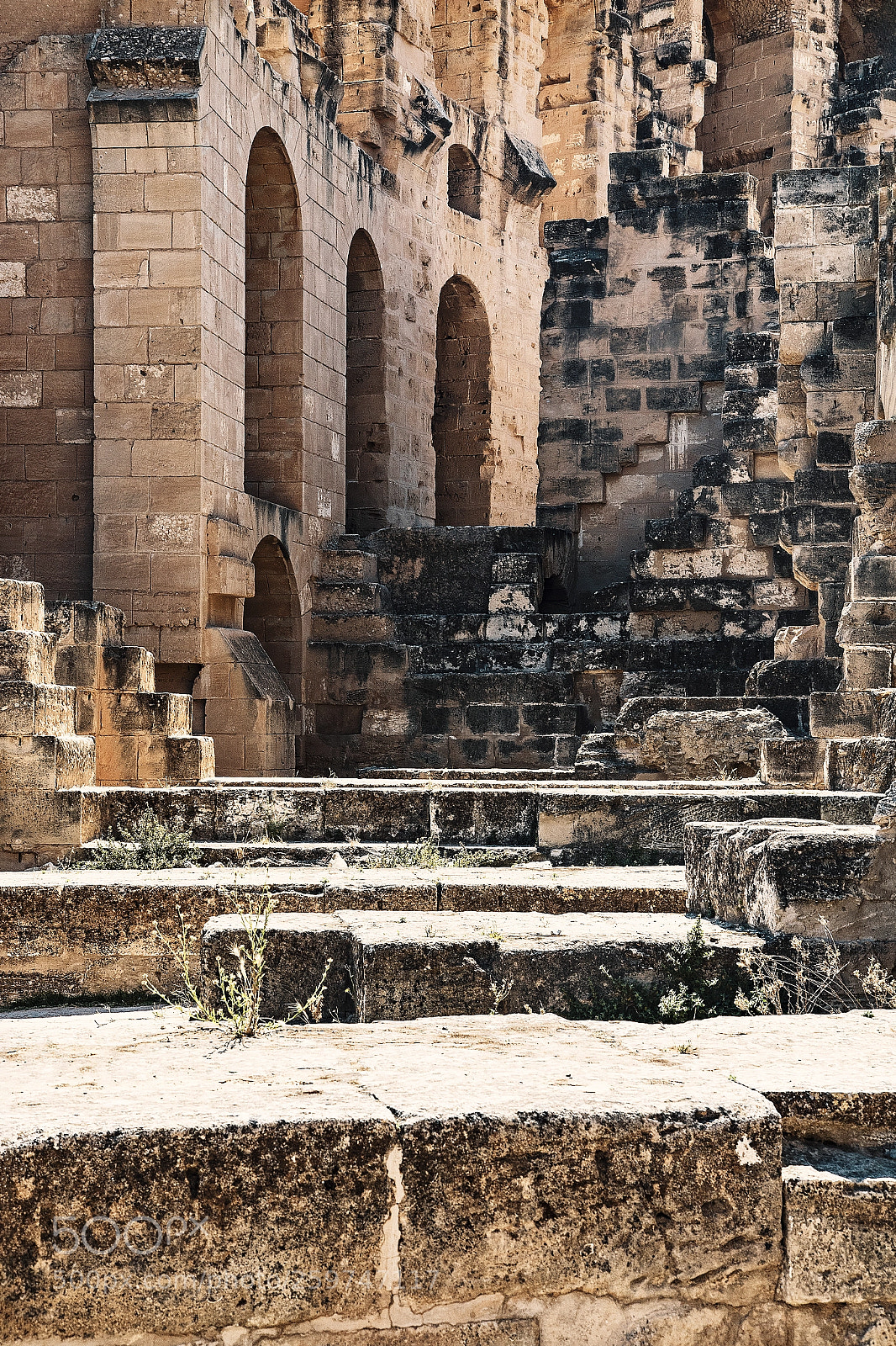 Canon EOS 7D Mark II sample photo. Roma defenda est photography