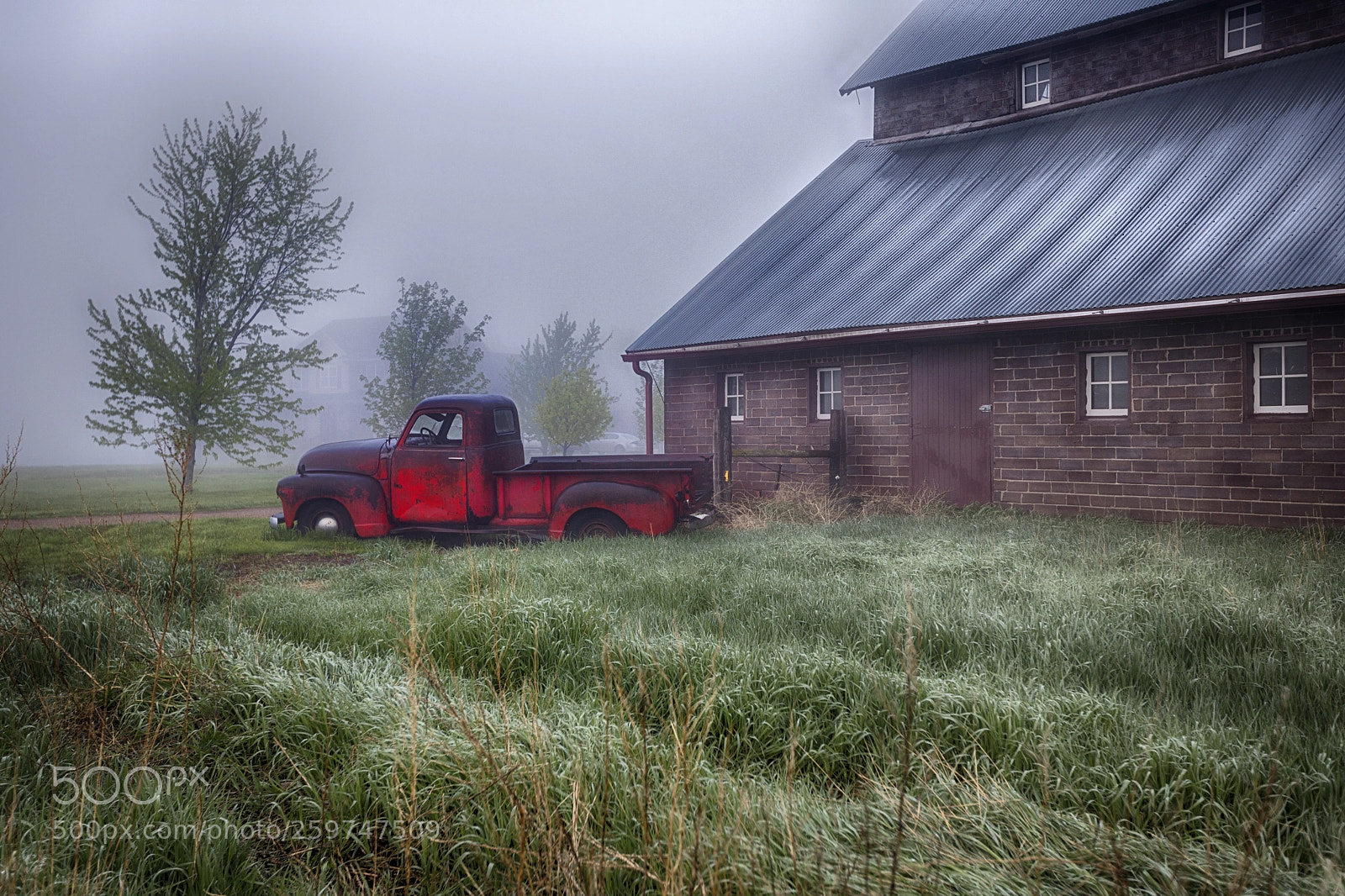 Canon EOS 5D Mark IV sample photo. In the fog photography
