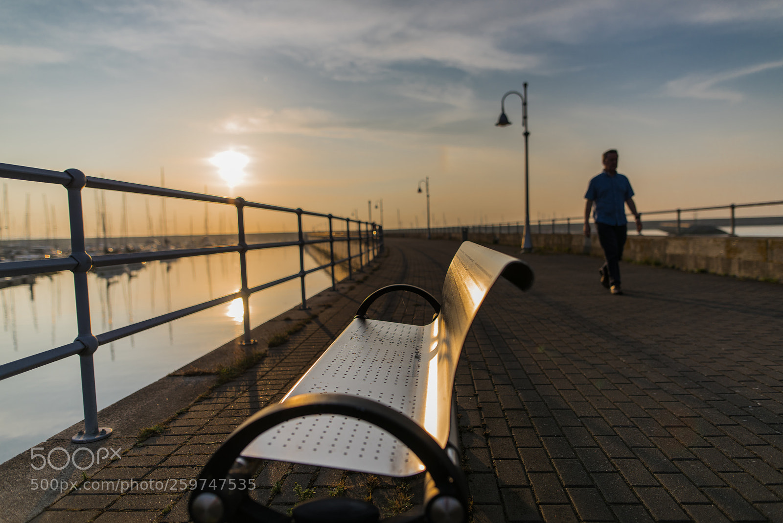 Nikon D810 sample photo. Evening stroll photography