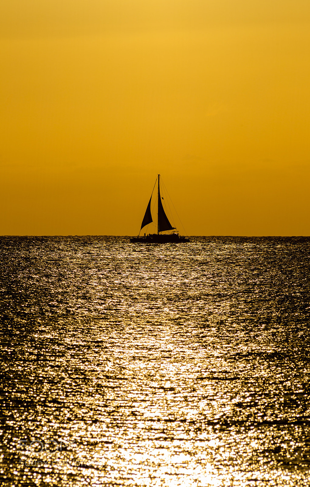 Canon EOS 6D sample photo. Untitled photography