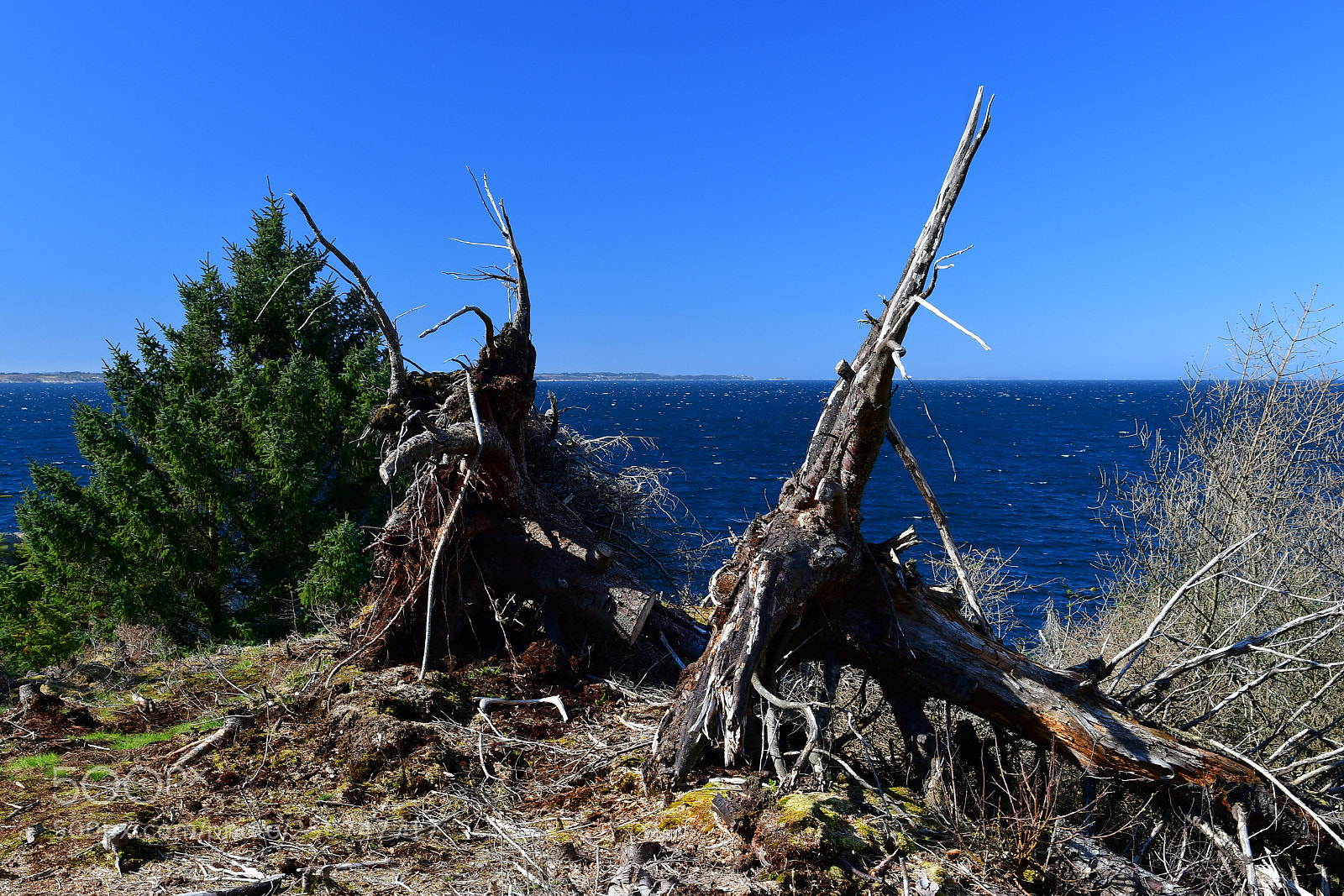 Nikon D500 sample photo. Windy photography