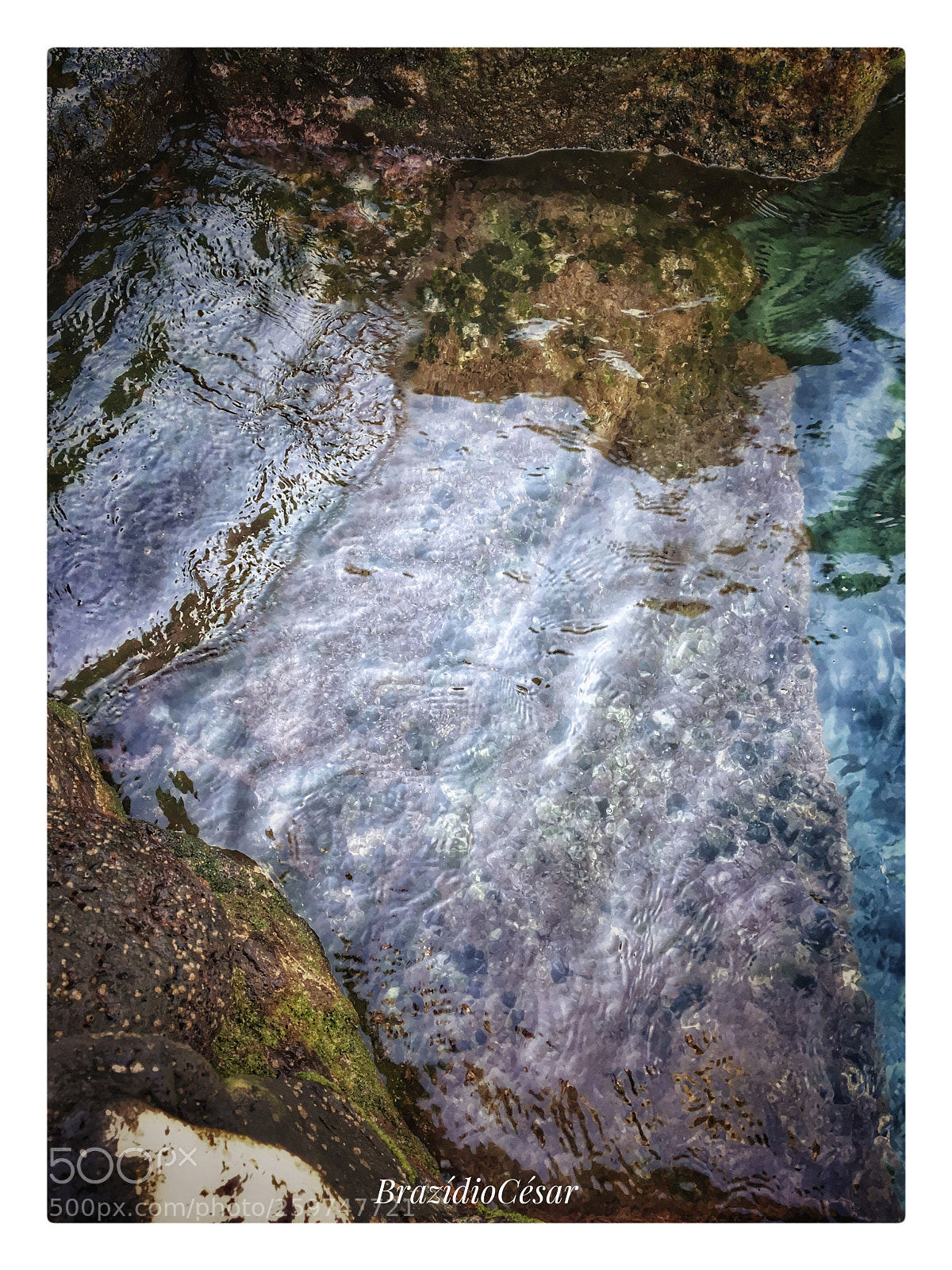 Apple iPhone 6s sample photo. Untitled photography