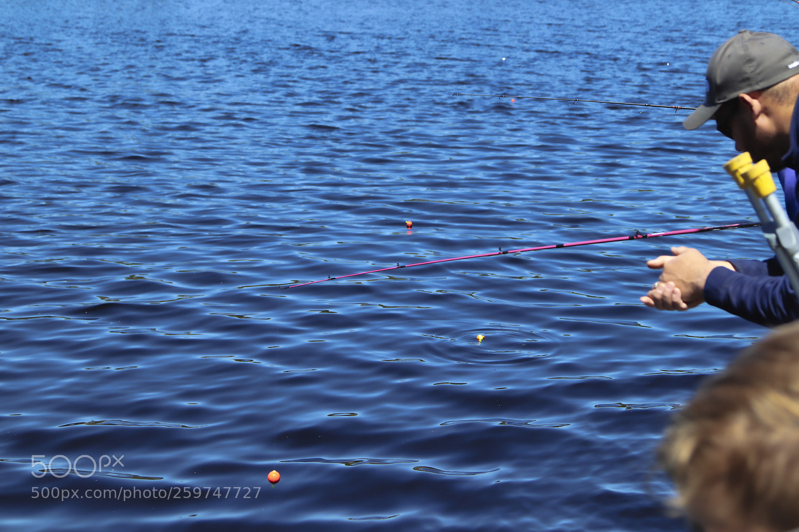 Canon EOS 800D (EOS Rebel T7i / EOS Kiss X9i) sample photo. Mayfair 2018 -lewis lake photography