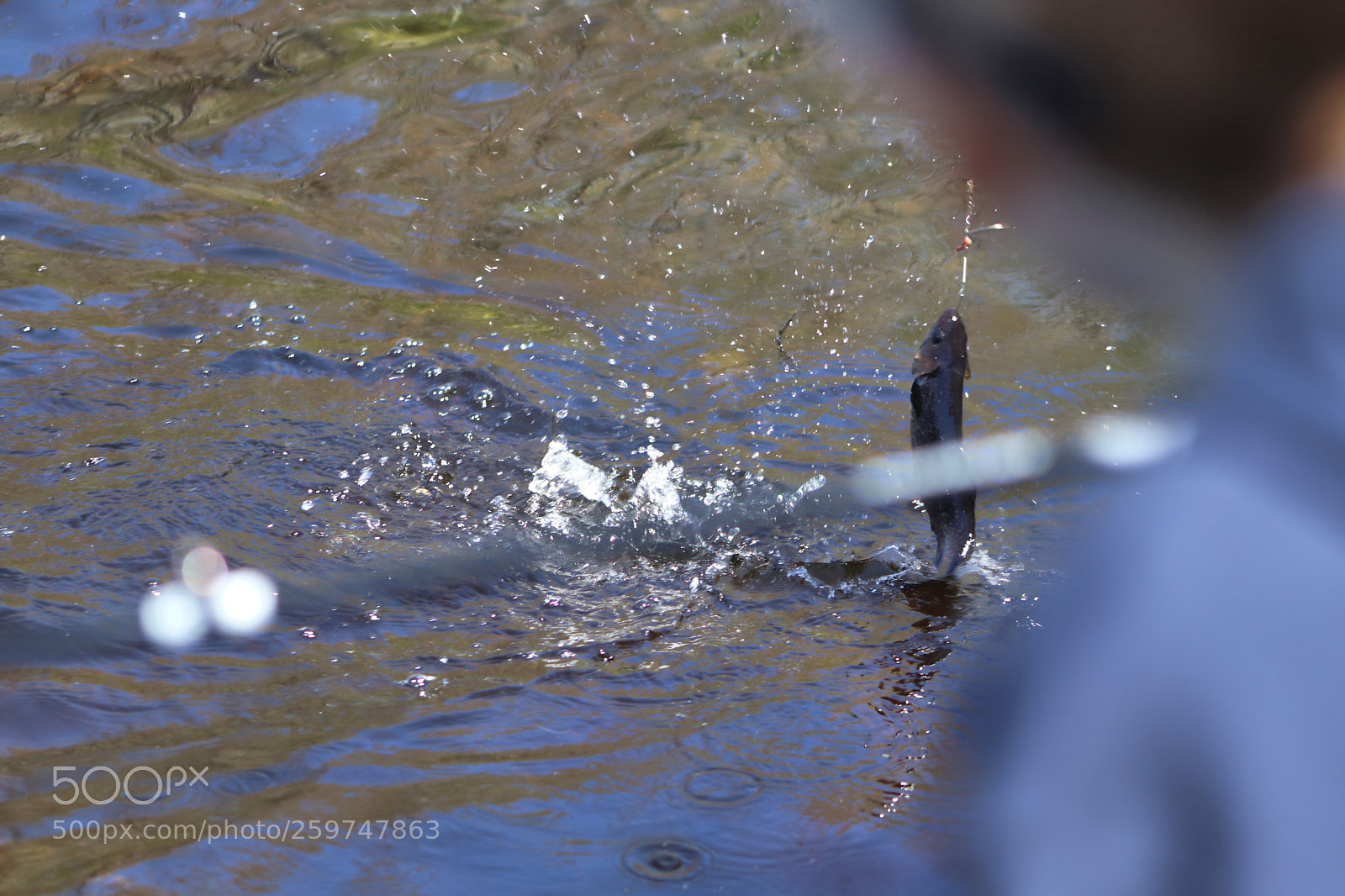 Canon EOS 800D (EOS Rebel T7i / EOS Kiss X9i) sample photo. Mayfair 2018 -lewis lake photography