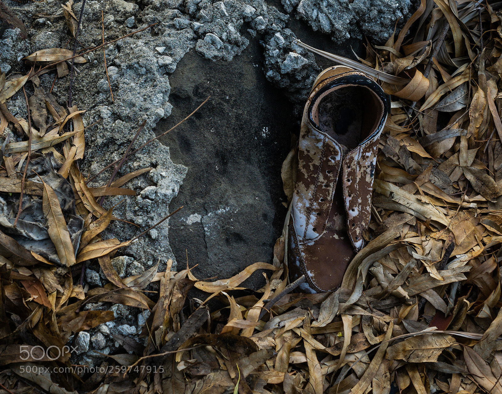 Sony a6000 sample photo. What footprint do you photography