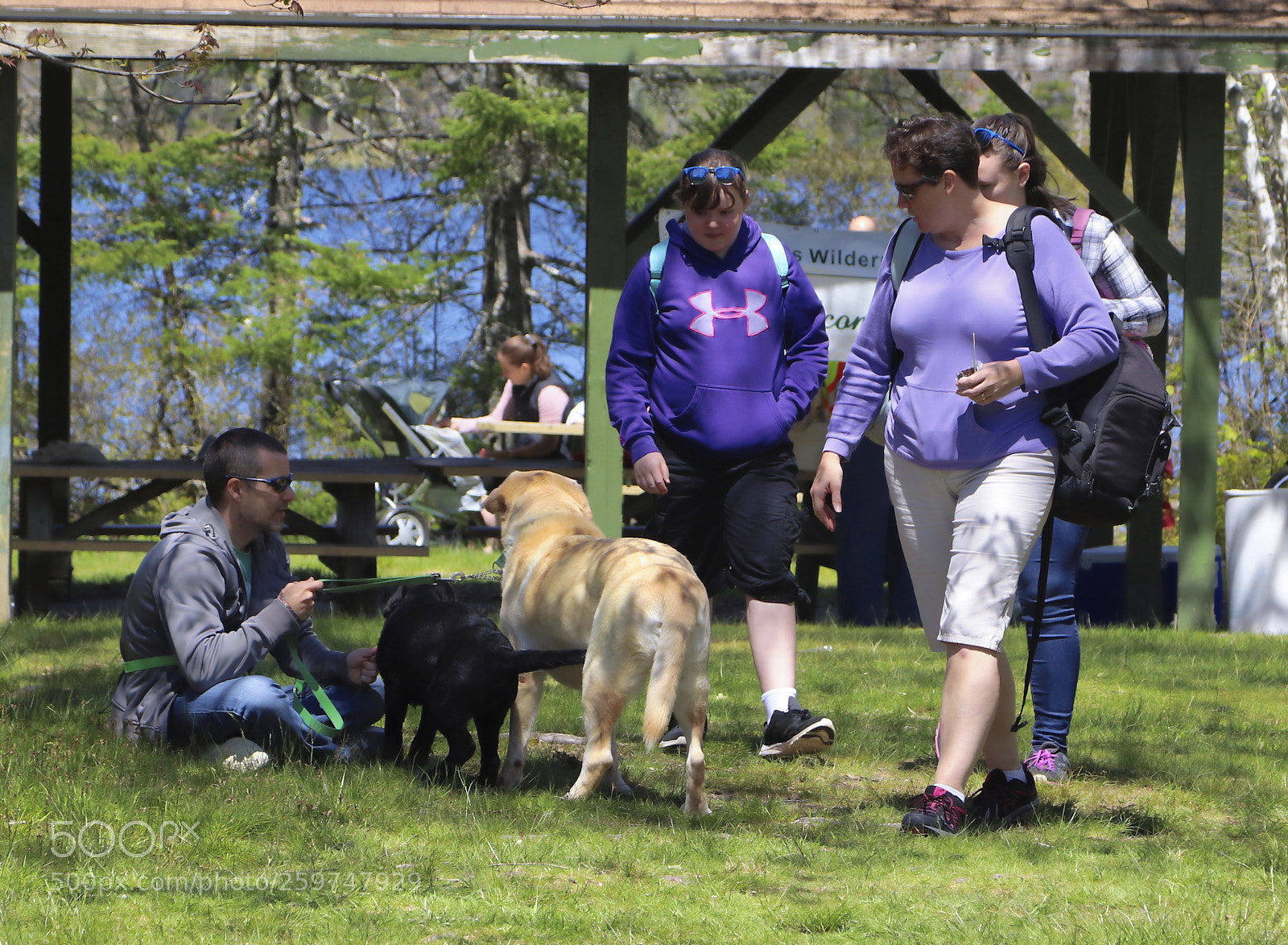 Canon EOS 800D (EOS Rebel T7i / EOS Kiss X9i) sample photo. Mayfair 2018 -lewis lake photography