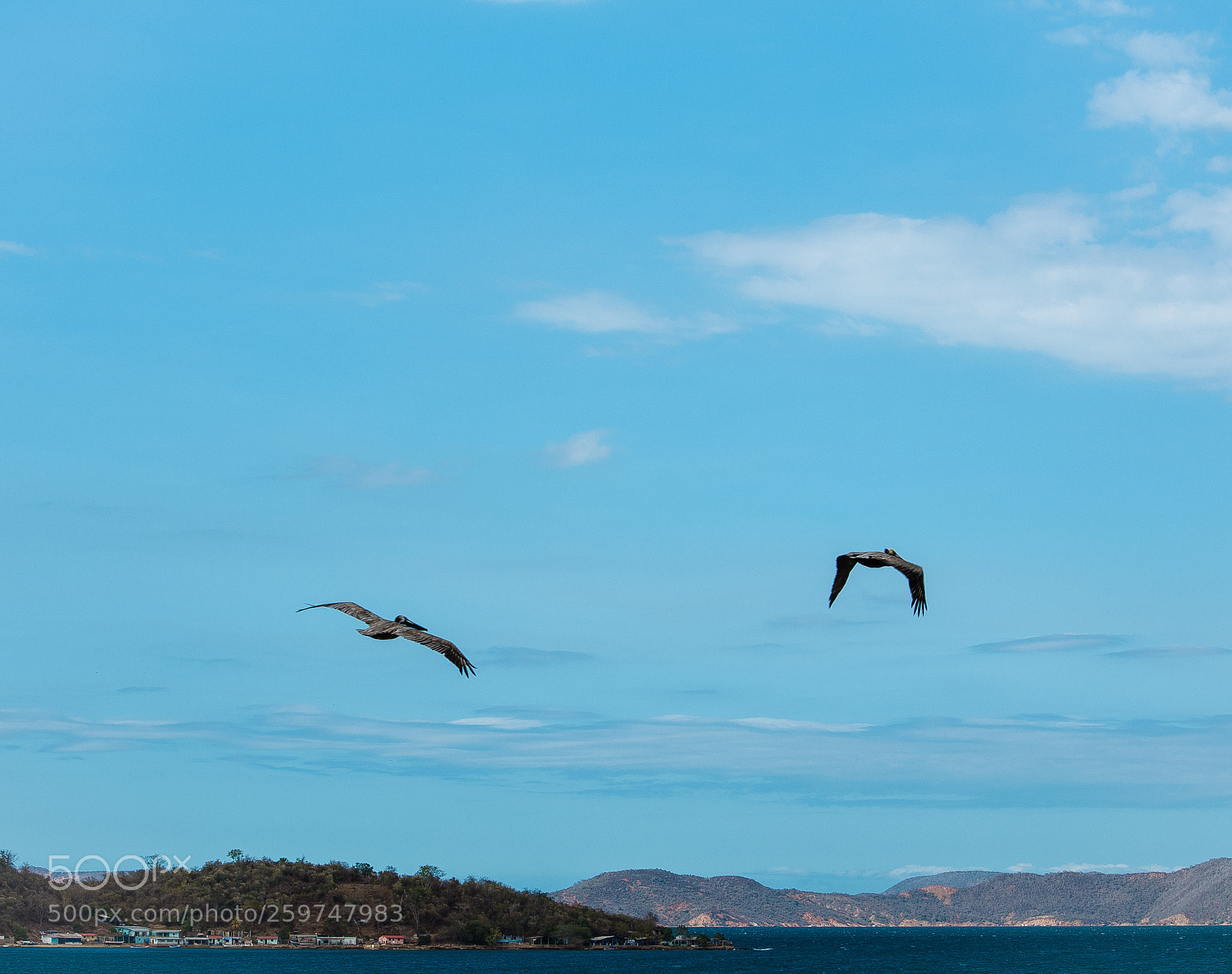 Nikon D5100 sample photo. Sigueme a lo alto photography
