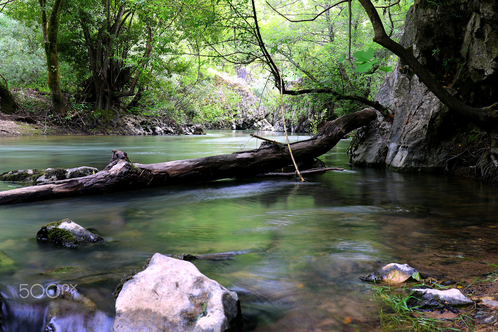 Canon EF 24-70mm F4L IS USM sample photo. Nabão river photography