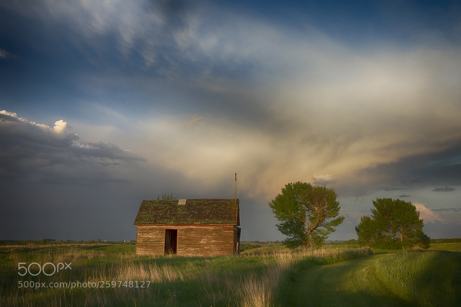 Canon EOS 5D Mark IV sample photo. Storm light photography