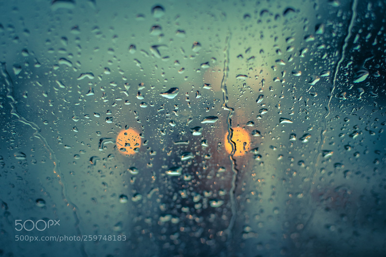 Nikon D7200 sample photo. Rain.. photography
