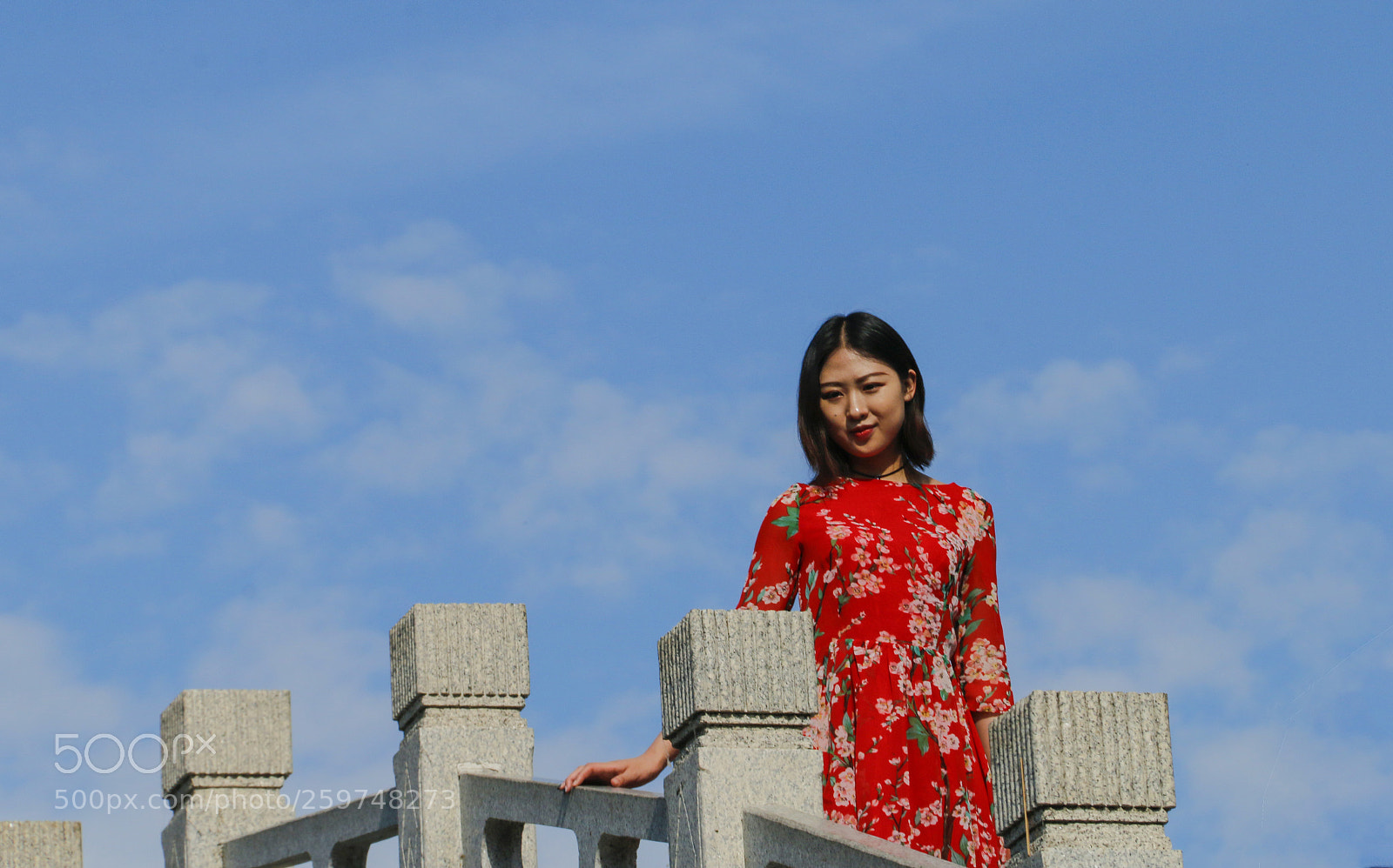 Canon EOS 70D sample photo. The wind in the photography