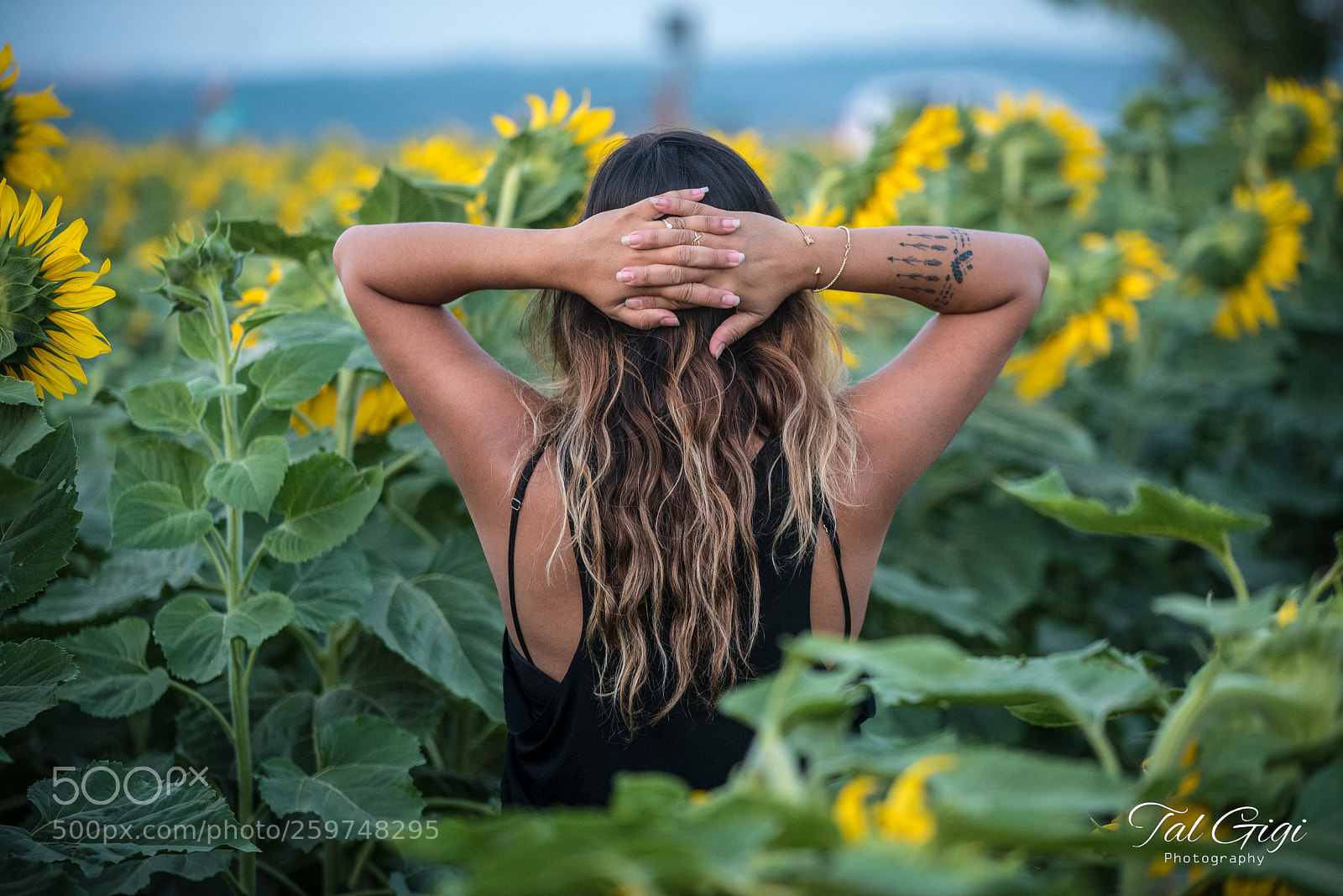 Nikon D750 sample photo. Eden photography